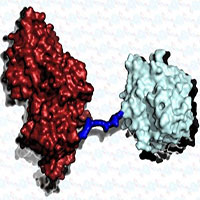 Siêu enzyme mới có thể "ăn" nhựa nhanh gấp 6 lần