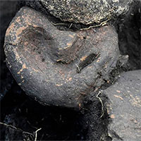 Bí ẩn 2 cặp nam nữ nằm úp lên nhau trong mộ cổ 5.000 năm