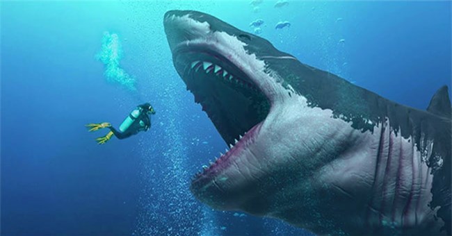 "Rợn người" cách để siêu cá mập Megalodon có thể dài tới hơn 18 mét