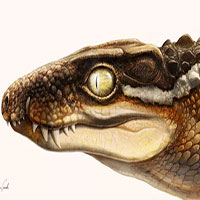 Sinh vật kinh dị 71 triệu tuổi khiến siêu khủng long phải khiếp sợ