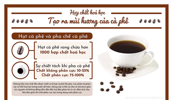 Mùi của cà phê từ đâu mà có?