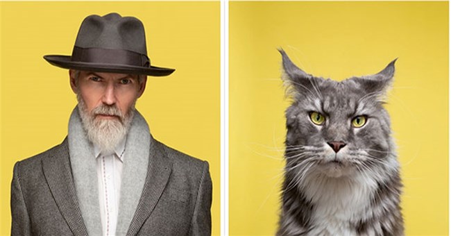 Những chú mèo giống người nhất thế giới
