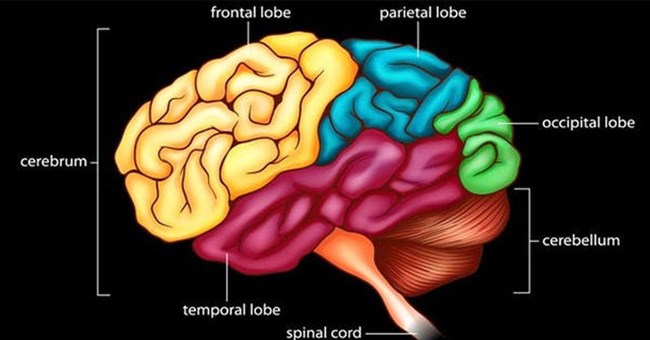 Vì sao một số người khó đưa ra quyết định trong cuộc sống hàng ngày?