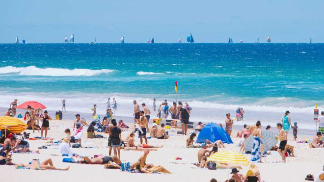 Vì sao cá mập gia tăng hành vi bất thường ở vùng biển Australia?
