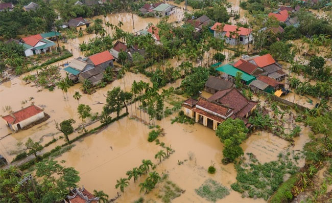 Việt Nam đang chịu 