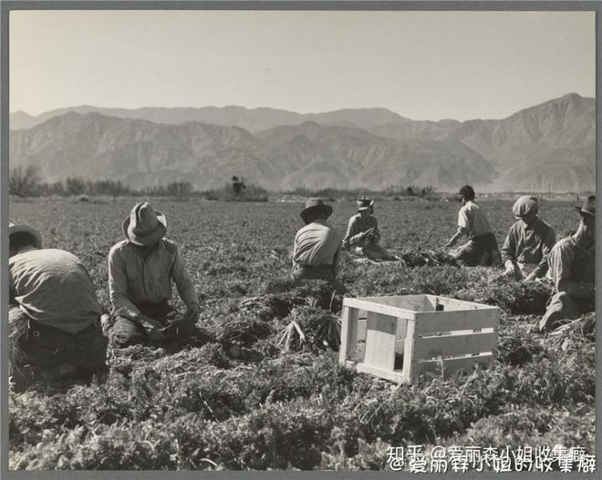 Sự kiện Dust Bowl: 