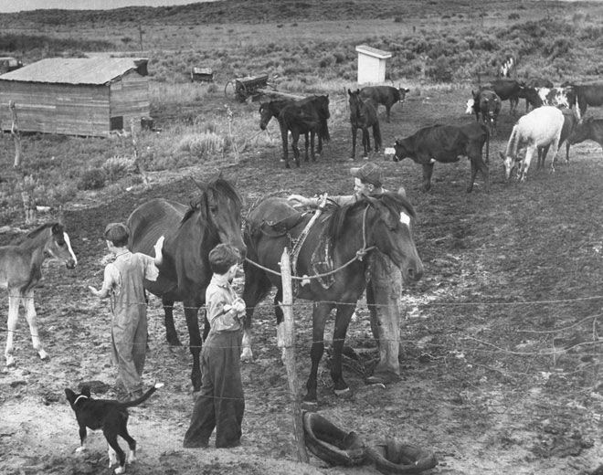 Sự kiện Dust Bowl: 