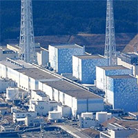 Nước nhiễm xạ ở Fukushima có thể làm biến đổi ADN người