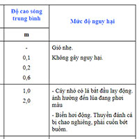Tìm hiểu về bảng phân loại cấp độ gió và sóng ở Việt Nam