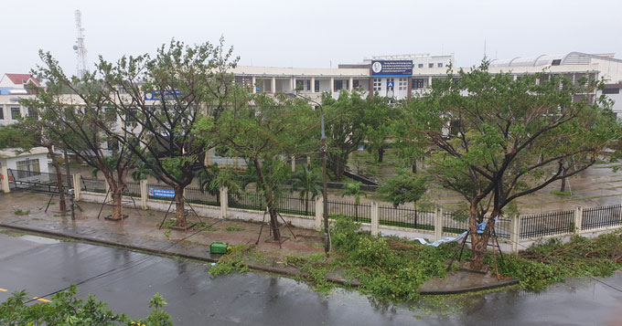 Bão Molave đổ bộ Quảng Nam - Quảng Ngãi