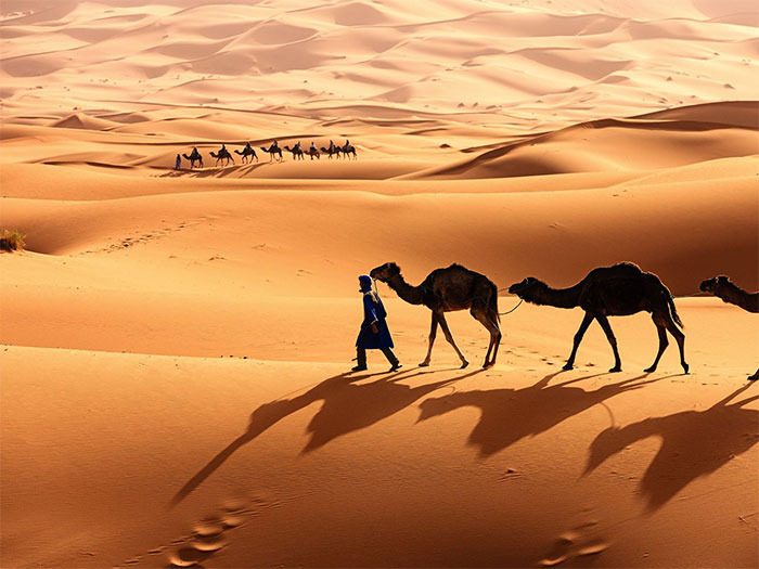Ta có thể biến sa mạc Sahara thành nhà máy năng lượng Mặt trời lớn nhất thế giới không?