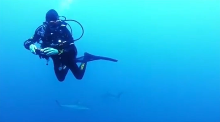 Anita cho biết khi xoay mình, cô thấy cá mập vây quanh khắp nơi, trên dưới, trái, phải.