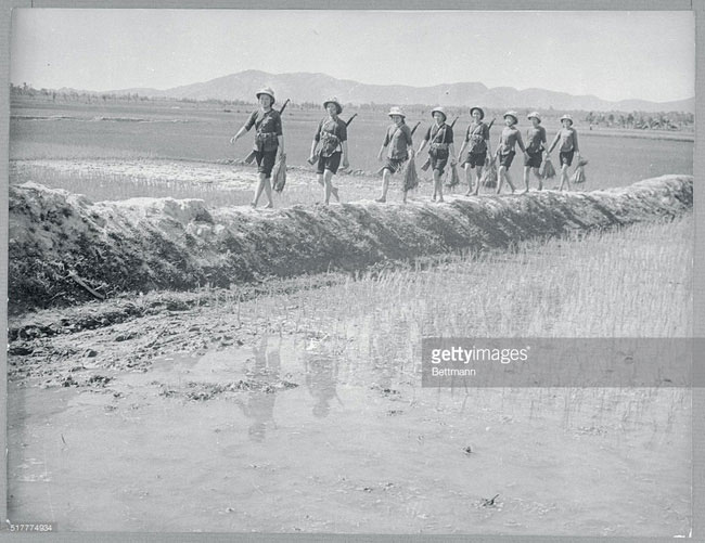Những người nữ dân quân đi làm ruộng với cây súng trên vai, ngoại thành Hà Nội năm 1967