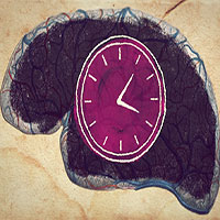 Não nhận biết thời gian như thế nào khi không có ánh sáng và đồng hồ?