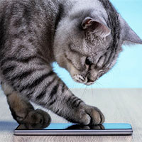 Cựu kỹ sư Amazon phát triển ứng dụng dịch tiếng mèo kêu sang ngôn ngữ con người hiểu được