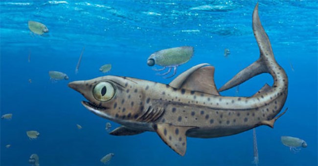 "Vua thủy quái" 365 triệu tuổi: Loài chưa từng thấy trên thế giới