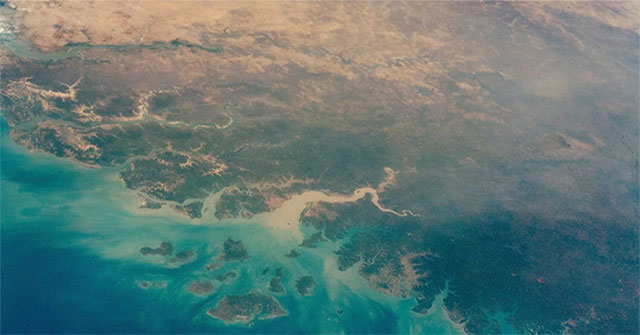 NASA "nhờ" AI lập bản đồ cây, phát hiện hàng tỉ cây xanh ở hoang mạc