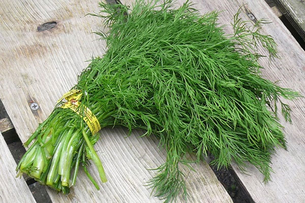 Những tác dụng bất ngờ và ít ai biết của cây thì là