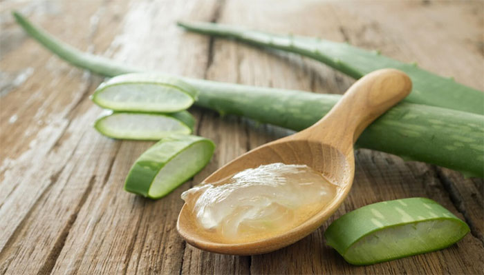 Cách dùng cây nha đam chữa bệnh
