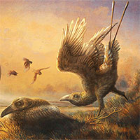 Hóa thạch tiết lộ loài "chim răng thỏ" kỳ dị sống cùng thời với khủng long