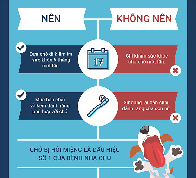 Những sai lầm khi nuôi chó mà bạn cần tránh