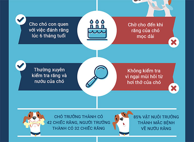 Những sai lầm khi nuôi chó mà bạn cần tránh