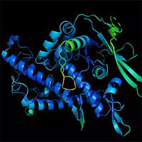 AI của DeepMind giải thành công phần lớn cấu trúc protein, giúp ta hiểu rõ cả bệnh tật lẫn thuốc thang