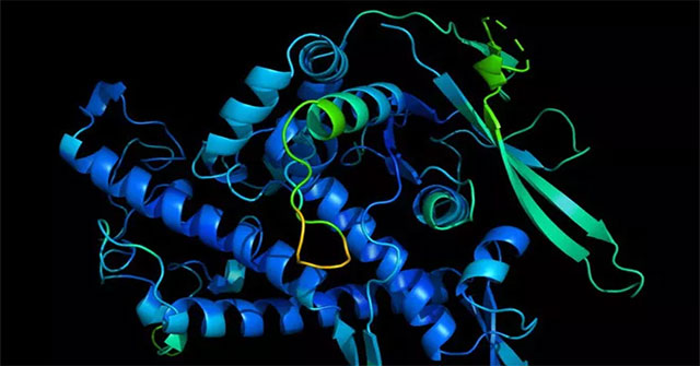 AI của DeepMind giải thành công phần lớn cấu trúc protein, giúp ta hiểu rõ cả bệnh tật lẫn thuốc thang