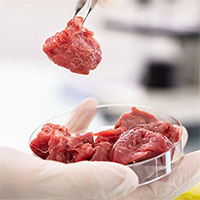 Singapore chính thức cấp phép bán "thịt nuôi cấy" trong phòng thí nghiệm