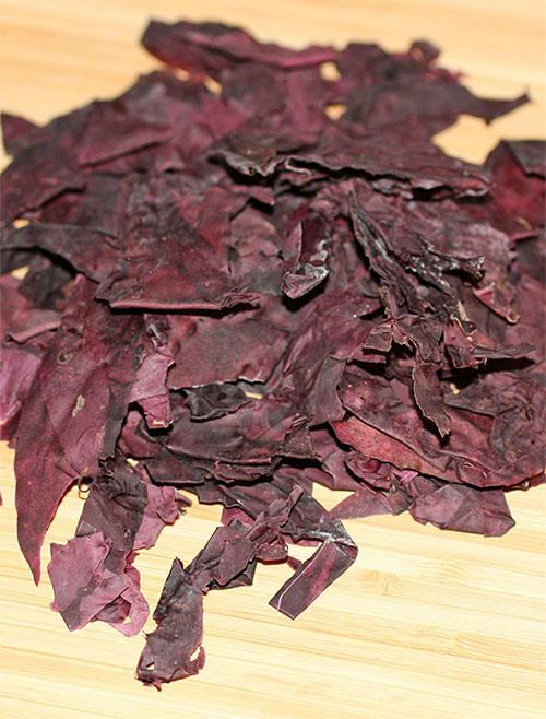 Rong biển dulse