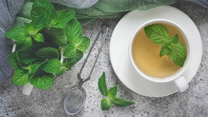 Những lợi ích của trà bạc hà