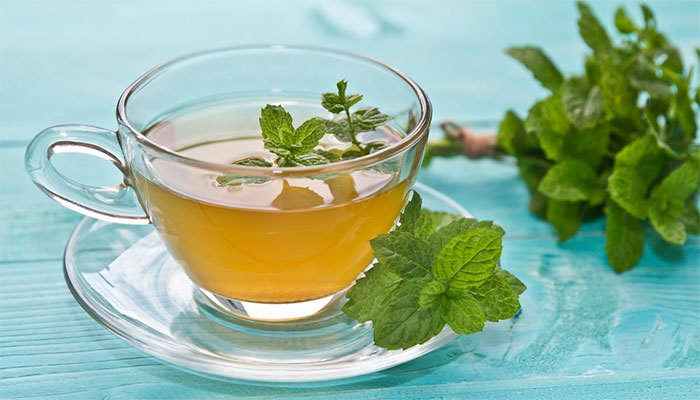 Những lợi ích của trà bạc hà