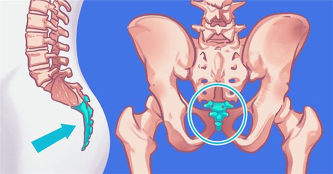 Top 9 bộ phận vô dụng trên cơ thể chúng ta, nhưng lại là "bảo chứng sinh tồn" của quá trình tiến hóa