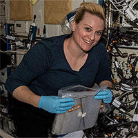 NASA trồng thành công cải củ trong không gian