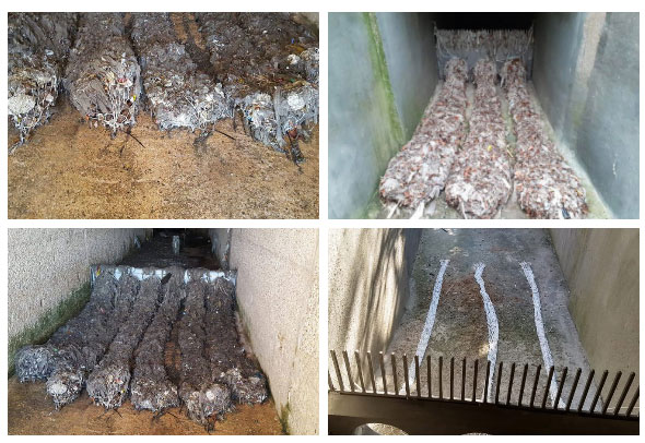 Phát minh đặc biệt giúp thế giới thoát khỏi thảm họa rác thải