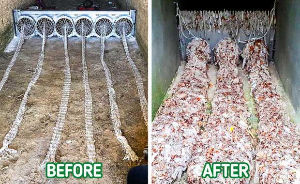 Phát minh đặc biệt giúp thế giới thoát khỏi thảm họa rác thải