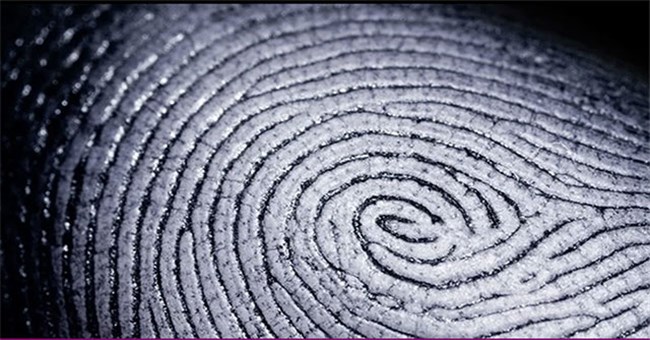 Hé lộ bí mật của đường vân tay chưa từng được biết đến