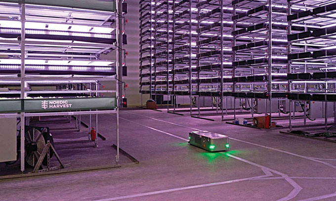 Đan Mạch ra mắt nông trại thẳng đứng rộng 7.000m2