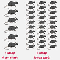 Những giải pháp giúp nhà nông kiểm soát chuột