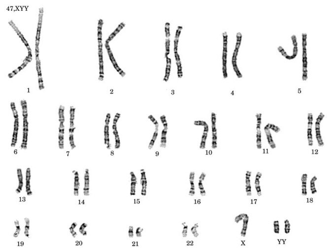 Mô phỏng phân tích gene trong cơ thể con người.