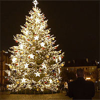 Chùm ảnh những cây thông Noel rực rỡ khắp thế giới