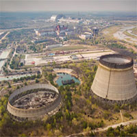 Mức độ phóng xạ không an toàn được tìm thấy trong cây trồng ở Chernobyl