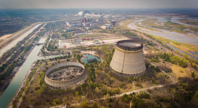 Cây trồng gần khu vực Chernobyl ở Ukraine vẫn bị nhiễm phóng xạ.