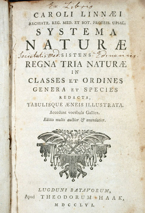 Carl Linnaeus - Người đặt nền móng cho hệ thống phân loại sinh học hiện đại