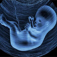 Phát hiện hạt vi nhựa trên nhau thai ở người