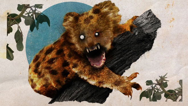 Drop bear (gấu nhảy) - sinh vật hư cấu hung tợn và bí ẩn nhất Australia.