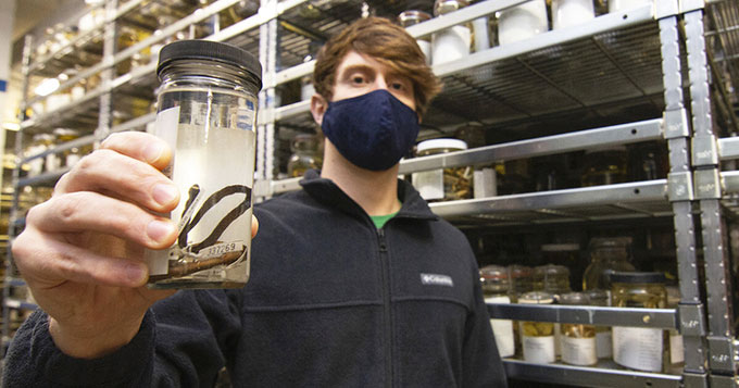 Trợ lý nghiên cứu Jeff Weinell phát hiện loài rắn mới từ mẫu vật trong bộ sưu tập