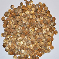 Đào được bình cổ đựng 1.300 đồng tiền vàng trị giá tới 1 triệu USD