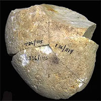 Phát hiện công cụ mài bằng đá có niên đại khoảng 350 nghìn năm tại Israel