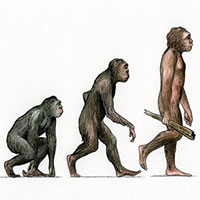 Toàn cảnh quá trình tiến hóa của loài người